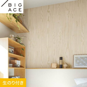 yǎzNX̂t VR[ BIGACE ؖڒ 92.5cm BA7277__ba7277
