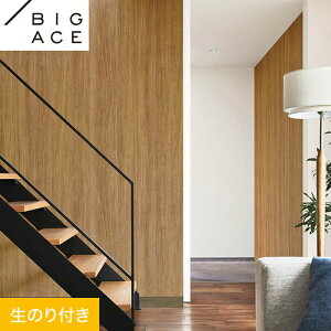 yǎzNX̂t VR[ BIGACE ؖڒ 93cm BA7286__ba7286