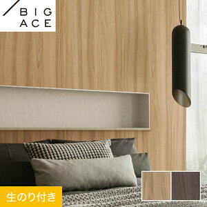 yǎzNX̂t VR[ BIGACE ؖڒ 93cm BA7287EBA7288*BA7287/BA7288