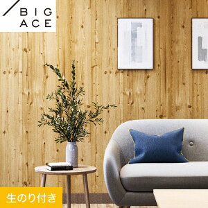 yǎzNX̂t VR[ BIGACE ؖڒ 93cm BA7292__ba7292