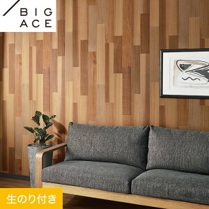 yǎzNX̂t VR[ BIGACE ؖڒ 92.5cm BA7301__ba7301