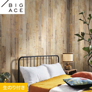 yǎzNX̂t VR[ BIGACE ؖڒ 92.5cm BA7303__ba7303