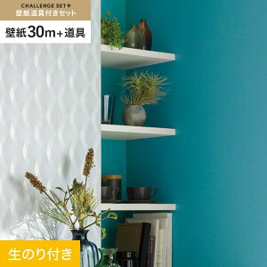 yǎzNX̂t `WZbgvX (Xbgǎ90cm+) 30m BA7316__cs30-k-ba7316