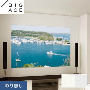 yǎzNX̂薳 VR[ BIGACE vWFN^[pNX 92.5cm BA7204EBA7205*BA7204/BA7205__n