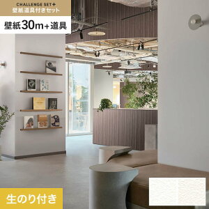 yǎzNX̂t `WZbgvX (Xbgǎ90cm+) 30m BB2001EBB2002*BB2001/BB2002__cs30-k-