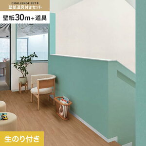 yǎzNX̂t `WZbgvX (Xbgǎ90cm+) 30m BB2299__cs30-k-bb2299