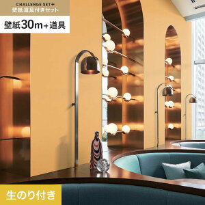 yǎzNX̂t `WZbgvX (Xbgǎ90cm+) 30m BB2336__cs30-k-bb2336