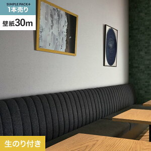 yǎzNX̂t VvpbNvX (Xbgǎ90cm) 30m BB2119__ks30-bb2119