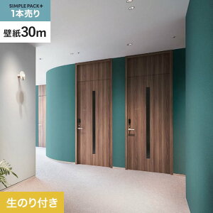 yǎzNX̂t VvpbNvX (Xbgǎ90cm) 30m BB2305__ks30-bb2305