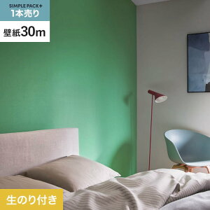 yǎzNX̂t VvpbNvX (Xbgǎ90cm) 30m BB2312__ks30-bb2312