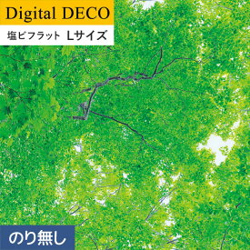 楽天市場 緑色 壁紙の通販
