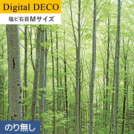 楽天市場 森 星 壁紙 装飾フィルム インテリア 寝具 収納 の通販
