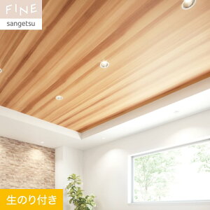 yǎzNX̂t TQc FINE ؖ 92cm FE76588__fe76588