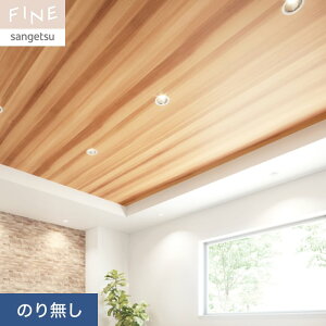 yǎzNX̂薳 TQc FINE ؖ 92cm FE76588__nfe76588