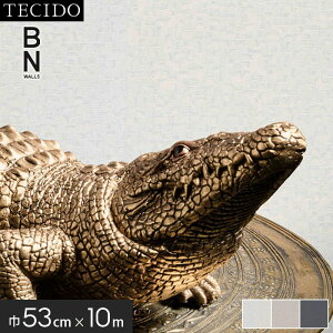 yǎẑ薳 Aǎ eV[h GX|[vX BNWALLS 220520 (53cm×10m)*220520 220521 220523__tc-