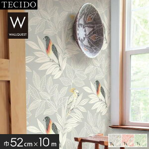 yǎẑ薳 Aǎ eV[h GX|[vX WALLQUEST RY30100 (52cm×10m)*RY30100 RY30101 RY30104__tc-