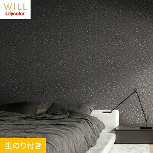 �y�ǎ��z�N���X�̂�t�� �����J�� WILL �}�e���A�� ��93cm LW-255__lw-255