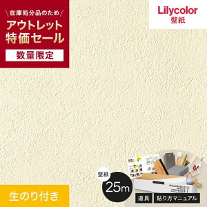 yǎzNXyʌz AEgbgZbg25m (̂tXbgǎ{) Ζڒ J i90cmЁj__ol-challenge25-rl-710