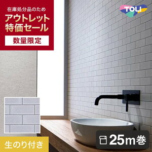 yǎzNXyʌzAEgbgpbN 25m îtǎ̂݁j  POWER1000 _ WVP4580 i92cmЁj__ol-25pac-wvp4580