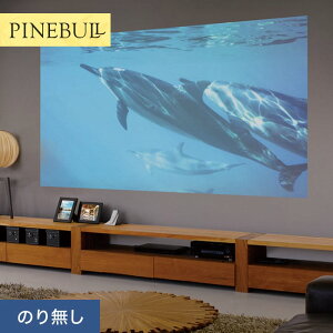 yǎzNX̂Ȃ gL pCu vWFN^[p 92cm TWP9692__ntwp9692