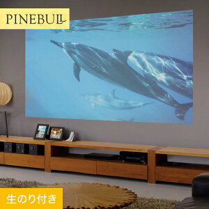 yǎzNX̂t gL pCu vWFN^[p 92cm TWP9692__twp9692