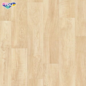 y@lElƎl͑zyڃV[gz SFtANW m[XCv 2.8mm__28sf4201