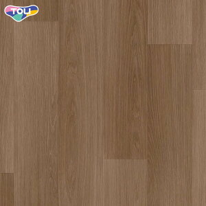 y@lElƎl͑zyڃV[gz SFtANW ~XeBI[N 2.8mm__28sf4210