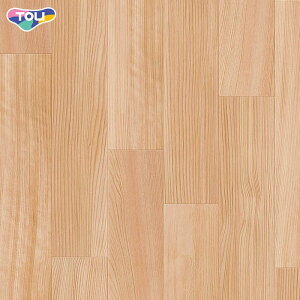 y@lElƎl͑zyڃV[gz SFtANW qmL 2.8mm__28sf4215