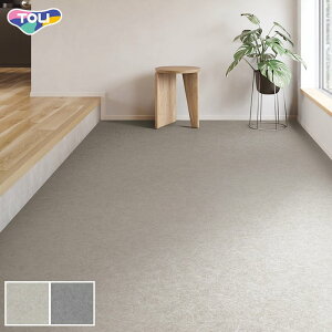 y1ISi|Cg2{zy@lElƎl͑zyڃV[gz }`ANW Vo[GtFNg 2.0mm*FS4274/FS4275