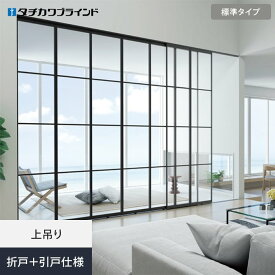 【間仕切り】【オーダー115,973円〜】プレイス スウィング タチカワブラインド 標準タイプ 折戸+引戸仕様__tb-ps-2way