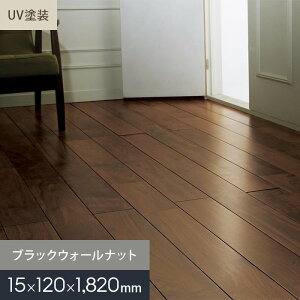 yCt[OzubNEH[ibg j UVh Ct[O 120 S__mkf02-003