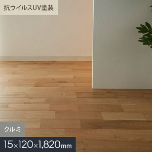 y1ISi|Cg2{zyCt[OzN~ j RECXUVh Ct[O 120 S__mkf02-025