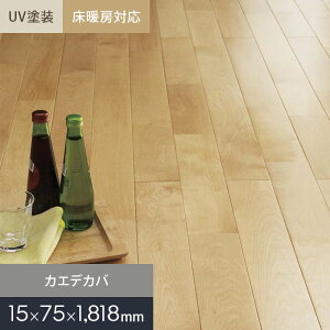 yCt[OzJGfJo j UVh Ct[O g[Ή 75 S__mkf02-028