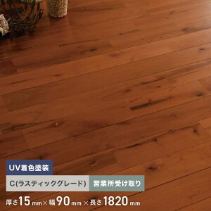 �y���C�t���[�����O�z�E�G�X�^���`�[�N ���j �h�� ���C�t���[�����O 90 C 10���� ���Z�c�Ə����__flsa90wt-c