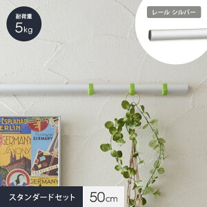 �y�C���e���A���[���zlino �X�^���_�[�h�Z�b�g (���[���F�F�V���o�[50cm)*01 02 03 04 05 06 07 08 09 10 11 12__ln-rz500-set-