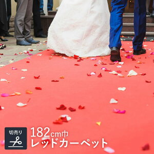 yp`J[ybgzbNp` 182cm bhy؂蔄z*L1- L2-__182lp-