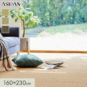 【ラグカーペット】カーペット アスワン アスボニー 全厚8mm 160×230cm*BNI-62/BNI-85__cp1623-