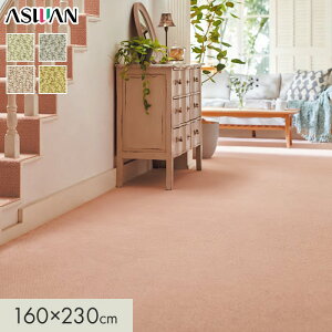 yOJ[ybgzJ[ybg AX AXfCW[ S8mm 160×230cm*DSY-05/DSY-75__cp1623-