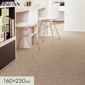 �y���O�J�[�y�b�g�z�J�[�y�b�g �A�X���� �A�X�V�[�h �S��9mm 160×230cm*SED-05/SED-65__cp1623-
