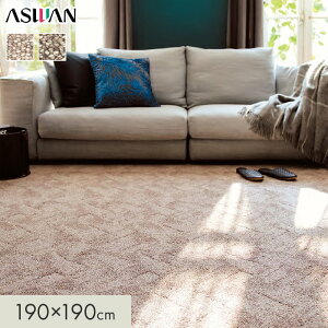 yOJ[ybgzJ[ybg AX N\[ S11.5mm 190×190cm*LX-05/LX-85__cp1919-