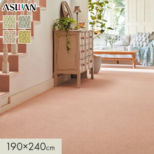 yOJ[ybgzJ[ybg AX AXfCW[ S8mm 190×240cm*DSY-05/DSY-75__cp1924-