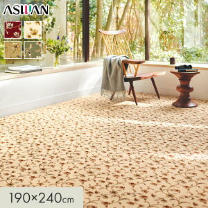 �y���O�J�[�y�b�g�z�J�[�y�b�g �A�X���� �A�X�����[�� �S��11.5mm 190×240cm*REV-15/REV-35__cp1924-