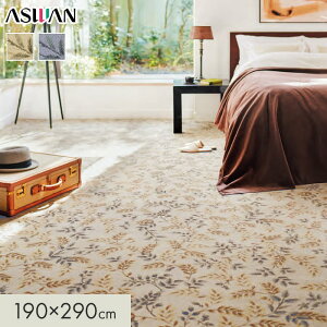 yOJ[ybgzJ[ybg AX AXJm S12mm 190×290cm*CAN-65/CAN-95__cp1929-