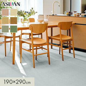 �y���O�J�[�y�b�g�z�J�[�y�b�g �A�X���� �A�X�f�B�p�[ �S��7.5mm 190×290cm*DIP-11/DIP-35__cp1929-