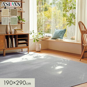 yOJ[ybgzJ[ybg AX j[AX|[^[ S7mm 190×290cm*NPT-05/NPT-35__cp1929-