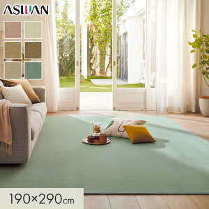 yOJ[ybgzJ[ybg AX j[E[|bV[ S9mm 190×290cm*NWL-11/NWL-42__cp1929-