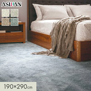 �y���O�J�[�y�b�g�z�J�[�y�b�g �A�X���� �A�X�I�[�V���� �S��21mm 190×290cm*OCN-05/OCN-11__cp1929-