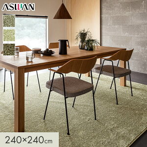 yOJ[ybgzJ[ybg AX AXuN S11mm 240×240cm*BLK-95/BLK-85__cp2424-