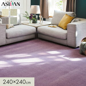 �y���O�J�[�y�b�g�z�J�[�y�b�g �A�X���� �A�X�R�[�X�g �S��11.5mm 240×240cm*CST-05/CST-42__cp2424-