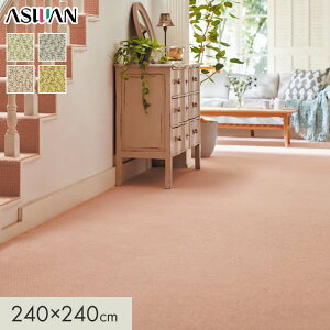 �y���O�J�[�y�b�g�z�J�[�y�b�g �A�X���� �A�X�f�C�W�[ �S��8mm 240×240cm*DSY-05/DSY-75__cp2424-